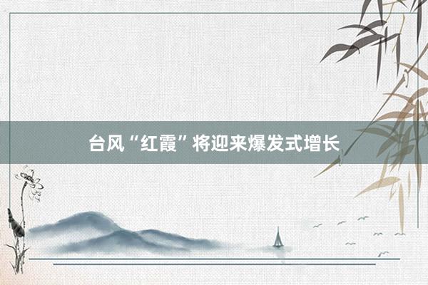 台风“红霞”将迎来爆发式增长