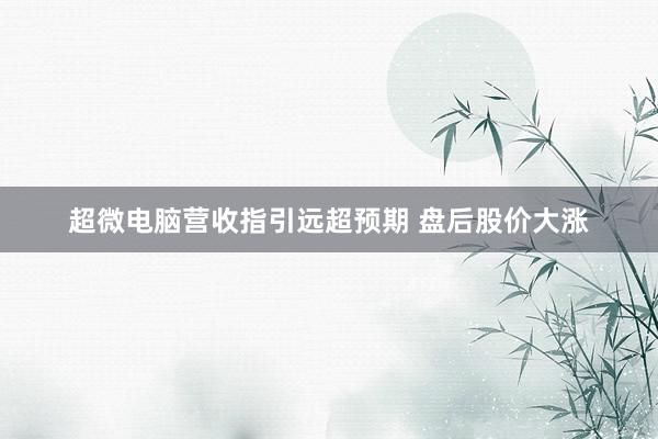 超微电脑营收指引远超预期 盘后股价大涨
