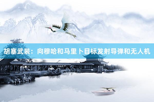 胡塞武装：向穆哈和马里卜目标发射导弹和无人机