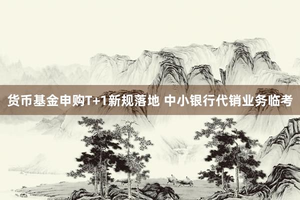 货币基金申购T+1新规落地 中小银行代销业务临考