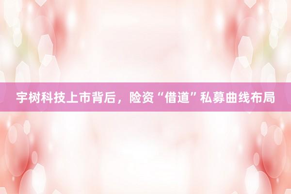 宇树科技上市背后，险资“借道”私募曲线布局