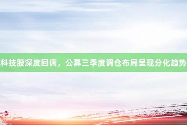 科技股深度回调，公募三季度调仓布局呈现分化趋势