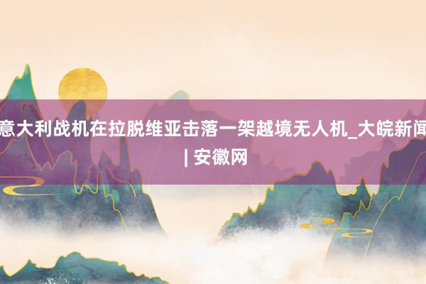 意大利战机在拉脱维亚击落一架越境无人机_大皖新闻 | 安徽网