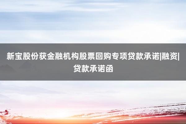 新宝股份获金融机构股票回购专项贷款承诺|融资|贷款承诺函