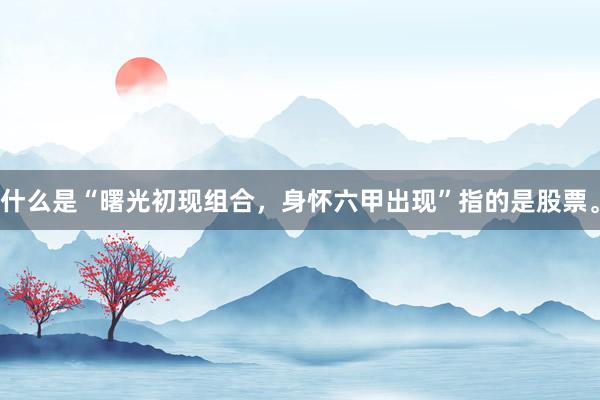 什么是“曙光初现组合，身怀六甲出现”指的是股票。
