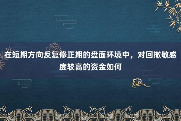 在短期方向反复修正期的盘面环境中，对回撤敏感度较高的资金如何