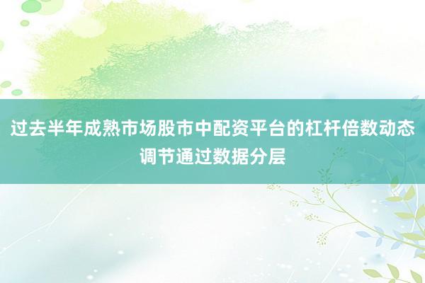 过去半年成熟市场股市中配资平台的杠杆倍数动态调节通过数据分层