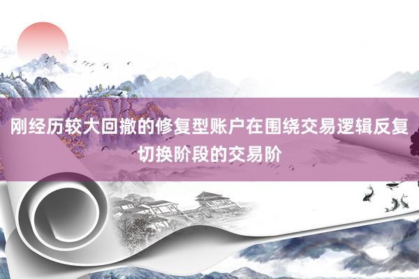刚经历较大回撤的修复型账户在围绕交易逻辑反复切换阶段的交易阶