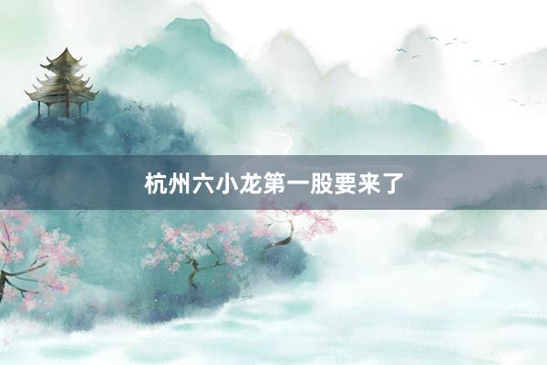 杭州六小龙第一股要来了