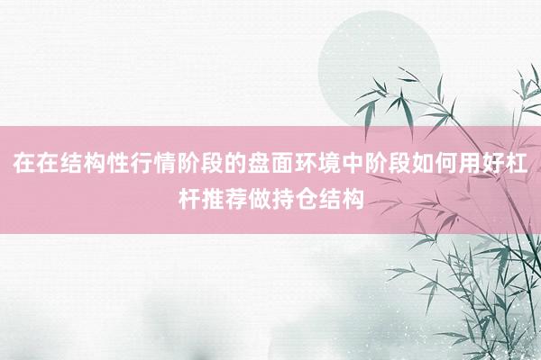 在在结构性行情阶段的盘面环境中阶段如何用好杠杆推荐做持仓结构