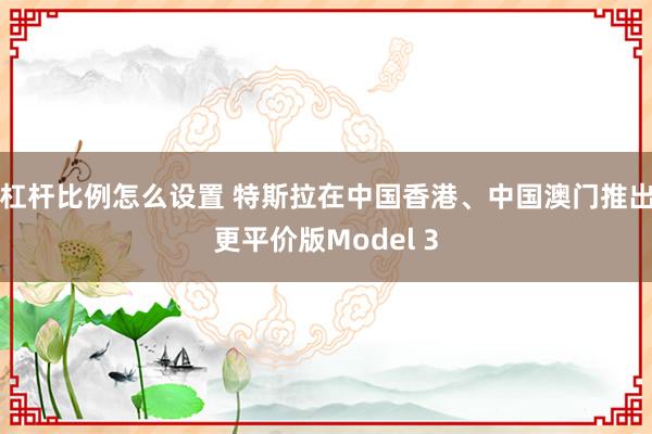杠杆比例怎么设置 特斯拉在中国香港、中国澳门推出更平价版Model 3