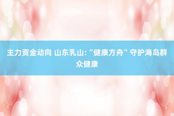 主力资金动向 山东乳山:“健康方舟”守护海岛群众健康