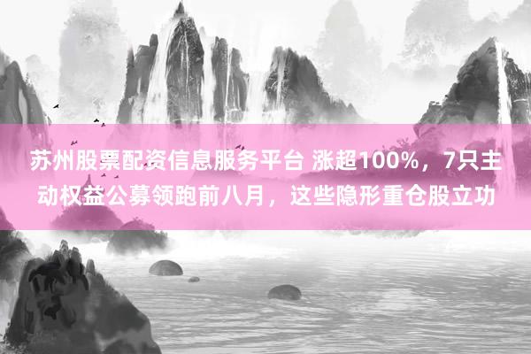 苏州股票配资信息服务平台 涨超100%，7只主动权益公募领跑前八月，这些隐形重仓股立功