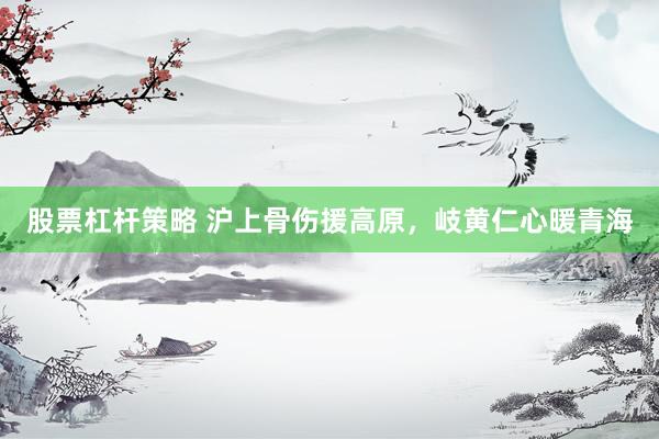 股票杠杆策略 沪上骨伤援高原，岐黄仁心暖青海