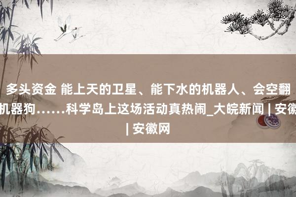 多头资金 能上天的卫星、能下水的机器人、会空翻的机器狗……科学岛上这场活动真热闹_大皖新闻 | 安徽网