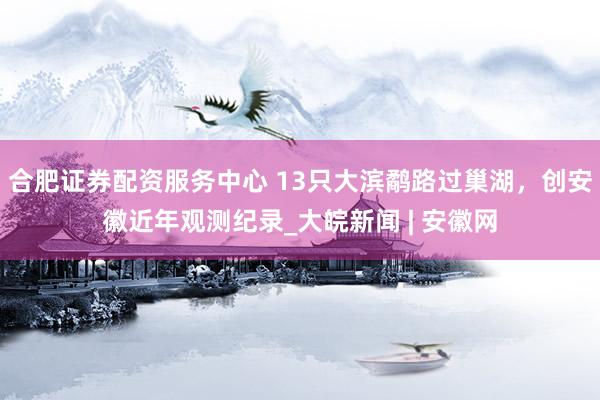 合肥证券配资服务中心 13只大滨鹬路过巢湖，创安徽近年观测纪录_大皖新闻 | 安徽网