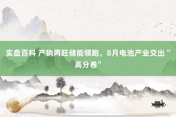 实盘百科 产销两旺储能领跑，8月电池产业交出“高分卷”