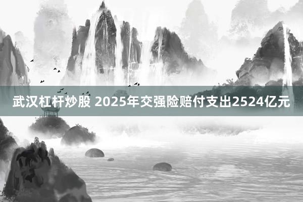 武汉杠杆炒股 2025年交强险赔付支出2524亿元