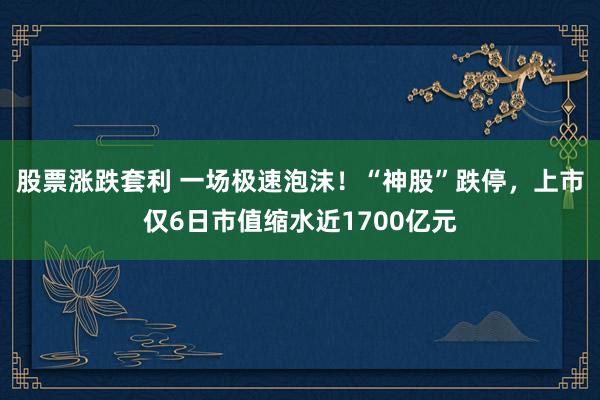 股票涨跌套利 一场极速泡沫！“神股”跌停，上市仅6日市值缩水近1700亿元