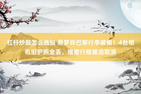 杠杆炒股怎么选股 易梦玲巴黎行李被偷！4台相机旧护照全丢，维密行程被迫取消