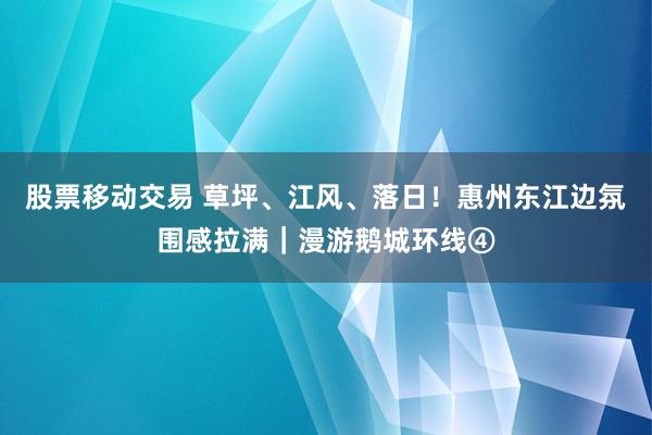 股票移动交易 草坪、江风、落日！惠州东江边氛围感拉满｜漫游鹅城环线④