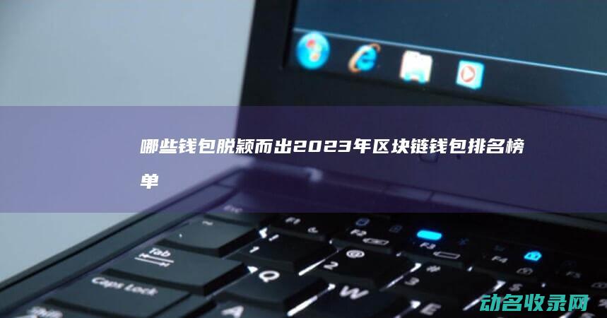 哪些钱包脱颖而出 2023年区块链钱包排名榜单揭晓 (有什么钱包)