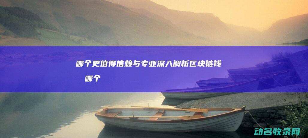 哪个更值得信赖与专业 深入解析区块链钱包 (哪个更值得信任的人)
