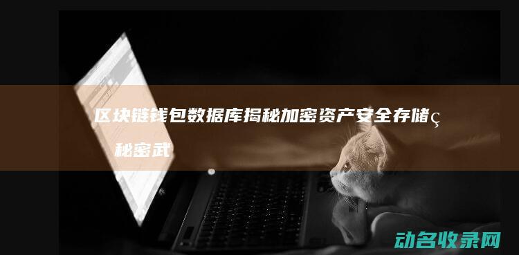 区块链钱包数据库 揭秘加密资产安全存储的秘密武器 (区块链钱包介绍)