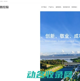 国微控股有限公司